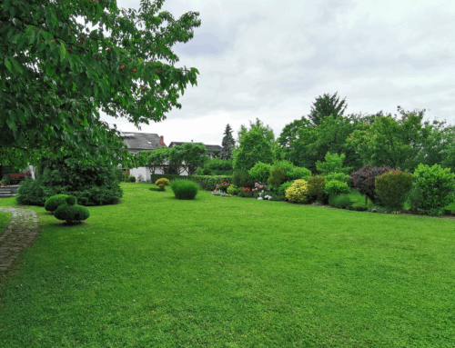 Outdoor Living and Real Estate: Why Buyers Are Prioritizing Green Space in 2025